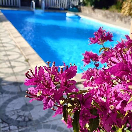 Les Bichettes Bed & Breakfast Mortagne-sur-Sevre ภายนอก รูปภาพ