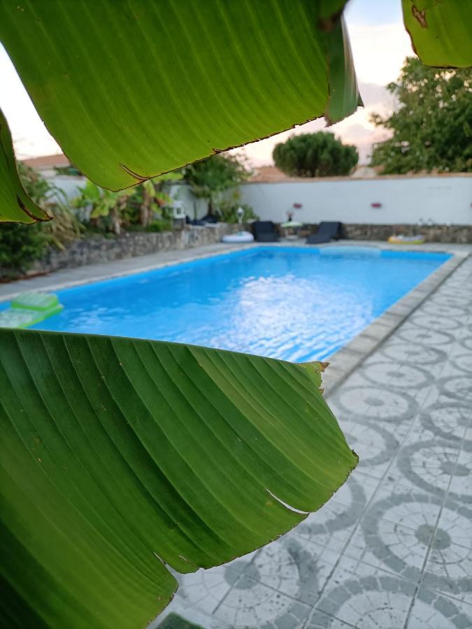 Les Bichettes Bed & Breakfast Mortagne-sur-Sevre ภายนอก รูปภาพ