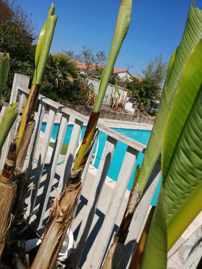 Les Bichettes Bed & Breakfast Mortagne-sur-Sevre ภายนอก รูปภาพ