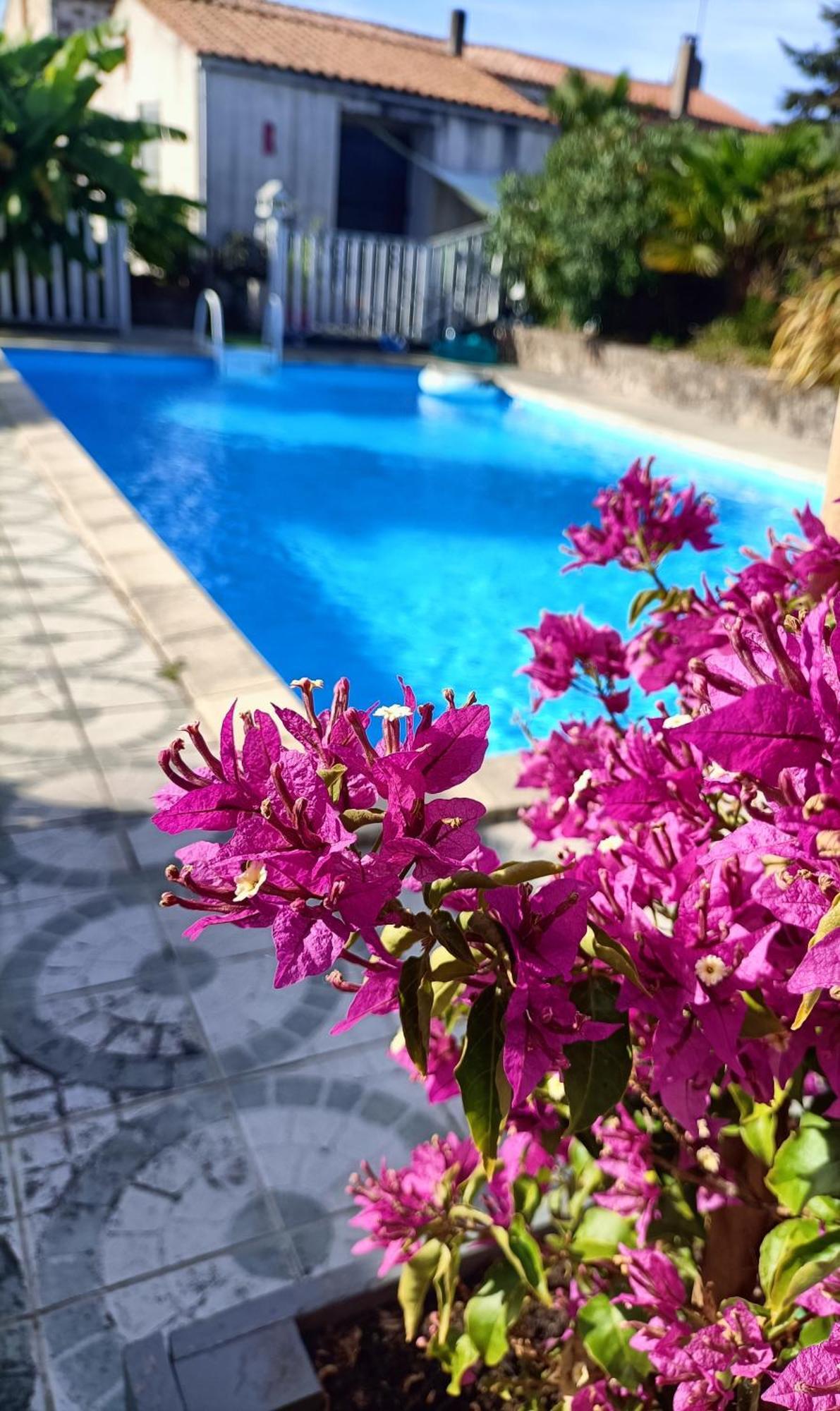 Les Bichettes Bed & Breakfast Mortagne-sur-Sevre ภายนอก รูปภาพ